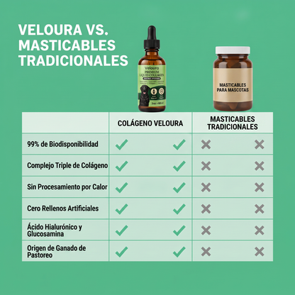 Veloura vs. masticables tradicionales